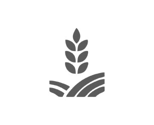 Valex - Polypack LLP